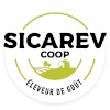 Logo Cicarev